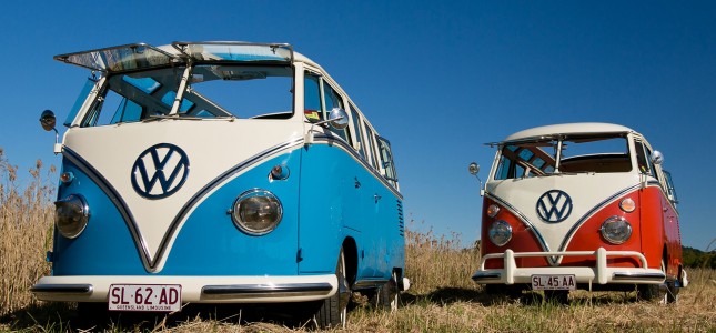 Two split-screen Kombi microbuses in Sunshine Coast cane field.