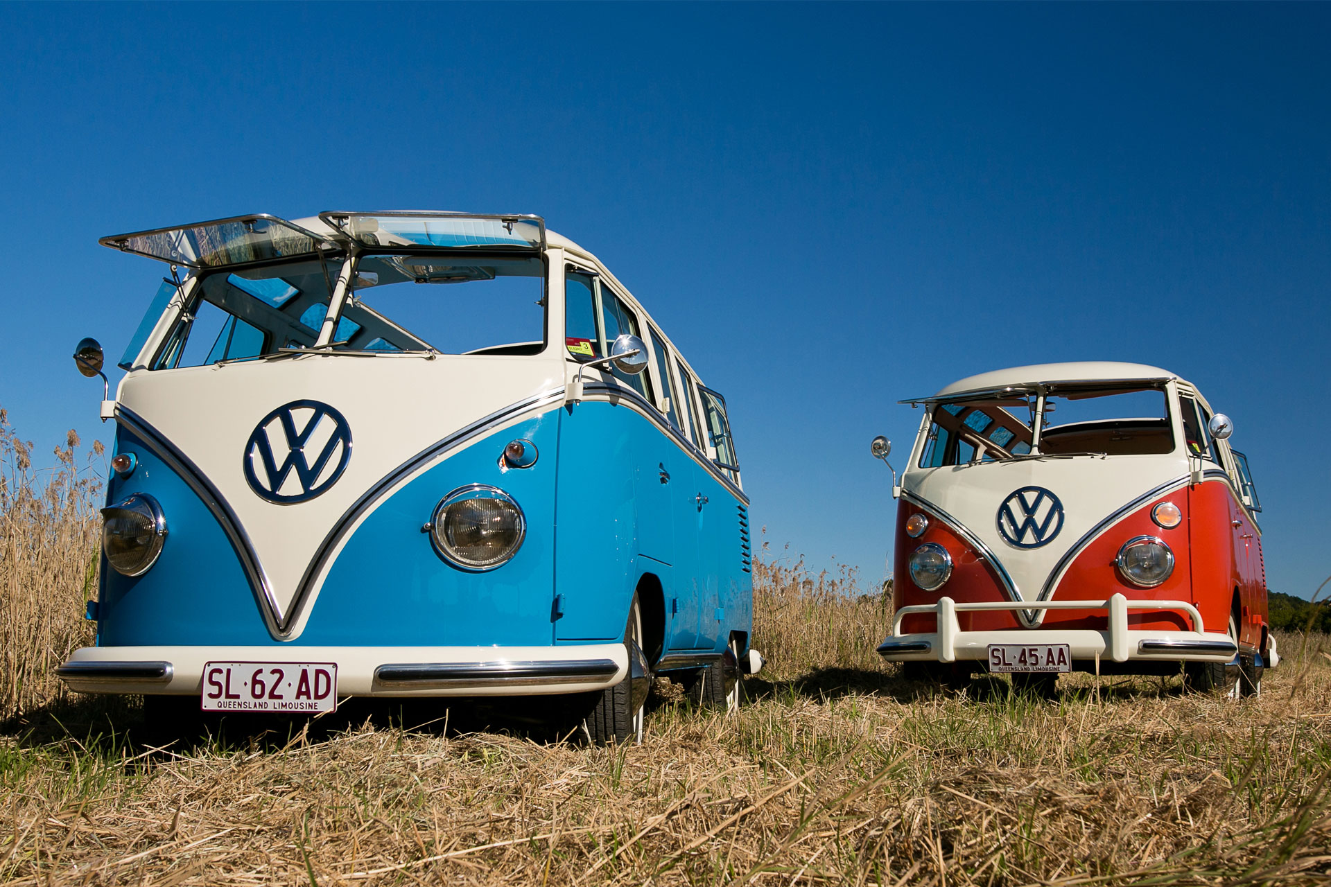 Two split-screen Kombi microbuses in Sunshine Coast cane field.